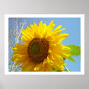 Suche nach gelbe blüte poster Jede person