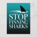 Suche nach sharks postkarten Jede person