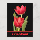 Suche nach friesland postkarten Holland