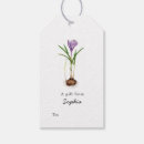 Suche nach crocus Blume