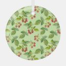 Suche nach himbeeren ornamente Sommer
