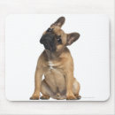 Suche nach monate mousepads Belgien