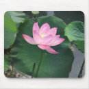 Suche nach lotos mousepads Blume