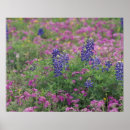Suche nach wildflower painting poster Closeup
