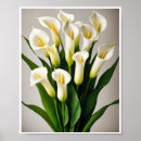 Suche nach calla lily poster Wandkunst