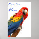Suche nach blaue papageien poster Wild