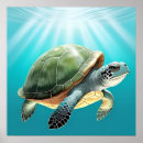 Suche nach schildkröte Wildtier