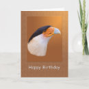 Suche nach caracara Natur