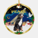 Suche nach berner ornamente Jede person