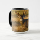 Suche nach weißwedelhirsch Odocoileus virginianus