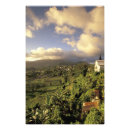 Suche nach westindien poster Walterbikow