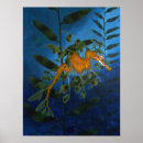 Suche nach sea dragon poster Meer