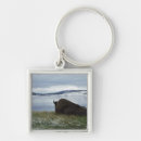 Suche nach in yellowstone accessoires Wild lebende tiere
