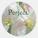 Suche nach apfelblüte aufkleber Blühen