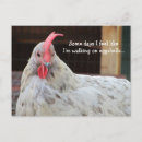 Suche nach lustiger hahn postkarten Huhn