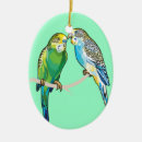 Suche nach parakeet wohnen zuhause Tropisch