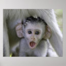 Suche nach schock poster Überraschung