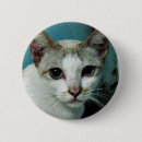 Suche nach miau buttons Niedlich