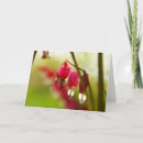Suche nach blutendes herz karten Natur