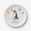 Suche nach bernese teller Hundegeburtstag