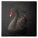 Suche nach schnabel fliesen Vogelvogel