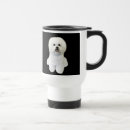 Suche nach bichon frise welpe tassen Welpen
