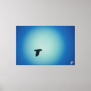Suche nach fleck leinwandbilder Blau