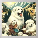 Suche nach pyrenäen poster Hund