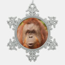 Suche nach orang utans ornamente Niedlich