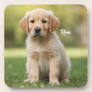Suche nach goldene retriever untersetzer Für alle