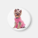 Suche nach yorkshire terrier magnete Yorkie