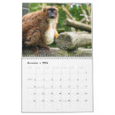 Suche nach lemur büro zubehör Fotografie