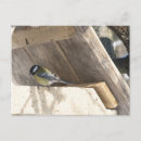 Suche nach feeder postkarten Wood
