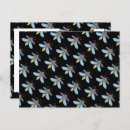 Suche nach leuchtkäfer postkarten Für alle