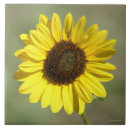 Suche nach wildblume fliesen Sonnenblumen