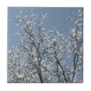 Suche nach winter fliesen Eis