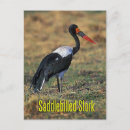 Suche nach schnabel postkarten Tier