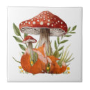 Suche nach roter fuchs untersetzer Wildtiere