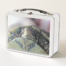 Suche nach schildkröten brotdosen Niedlich