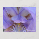 Suche nach als verlust postkarten Für alle