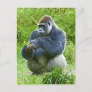 Suche nach nachdenklich postkarten Natur