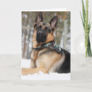 Suche nach hirten karten Hund