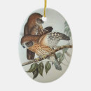Suche nach vintage eule ornamente Für alle