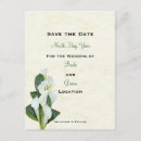Suche nach calla lilly Blume