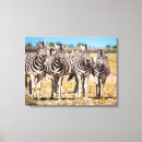 Suche nach namibia leinwandbilder Zebra