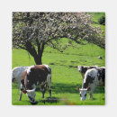 Suche nach apfelbaum magnete Natur