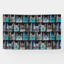 Suche nach katzen banner Haustier