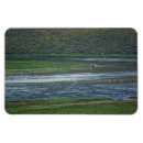 Suche nach pelikan magnete Tierwelt