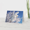 Suche nach schnee eule karten Vogel