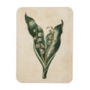 Suche nach vintage lilie magnete Botanisch